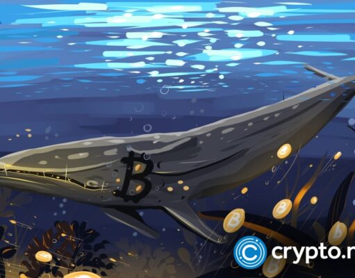 Bitcoin whales add 61,568 BTC as price slips again