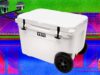 13 Best Coolers for Sunshine and Nighttime (2026)