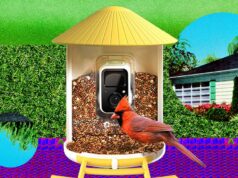 The Smart Bird Feeders Everyone’s Talking About (and Actually Buying) (2026)