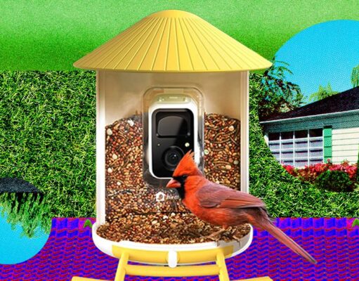 The Smart Bird Feeders Everyone’s Talking About (and Actually Buying) (2026)