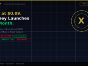 X Money Launch Could 10x DOGE or Kill the Bull Case