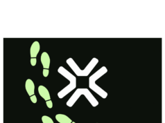 Trove Markets perpetrator is Chinese crypto scammer, report