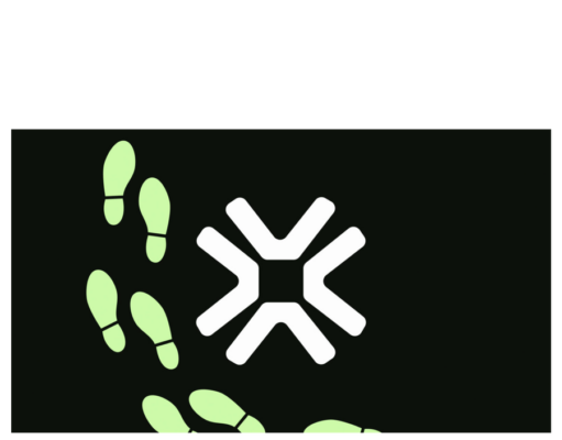 Trove Markets perpetrator is Chinese crypto scammer, report