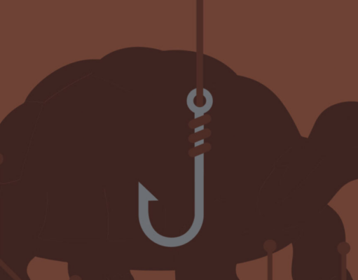 Death of the oldest living tortoise was just a crypto scam