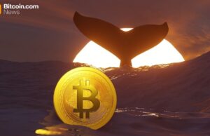TIm Draper’s $250,000 BTC Call, New Whale Data, and More