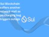Sui Blockchain suffers another network stall as gas charging bug triggers outage