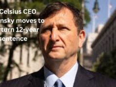 Ex-Celsius CEO Alex Mashinsky moves to overturn 12-year sentence