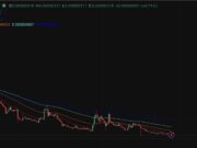 Cardano Hoskinson’s Called Bitcoin Dumb: His Rants Don’t Move ADA
