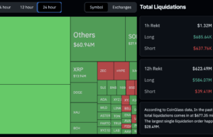 $677M in Liquidation’s as Bitcoin Tumbles Under $80,000