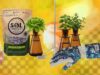 15 Best Gifts for Plant Lovers and Gardeners (2026)