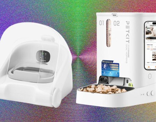 These 11 Automatic Cat Feeders Were the Best We Tested in 2026