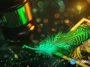 Robinhood says Wall Street is building onchain