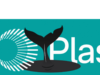 Whales dominate Plasma launch
