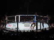 UFC 2026 livestream: How to watch UFC for free
