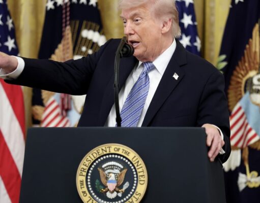 Trump considering federal AI model oversight