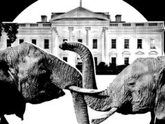 It’s Officially Election Season In Trumpworld