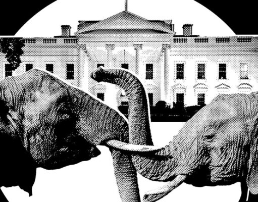 It’s Officially Election Season In Trumpworld