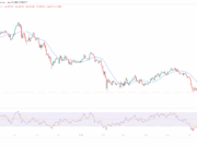 Why is Crypto Down and Will it Recover? Options and Inflation Reveal Smoking Gun