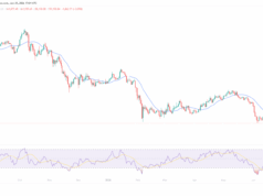 Why is Crypto Down and Will it Recover? Options and Inflation Reveal Smoking Gun