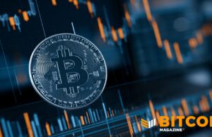Massive Institutions Are Buying Bitcoin’s Crash