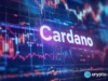 Why Cardano’s social activity surges as ADA crashes