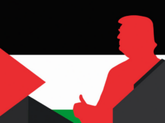 US could offer Palestinians digital tokens to leave Gaza, report