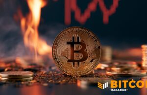 Bitcoin To $40,000? If History’s Anything To Go By, It’s Possible, Says Report
