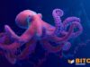 Kraken Seeks Final Judgment After $22 Million Award Against Former Auditor