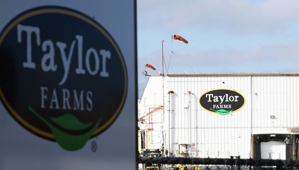 This-Week-in-Taylor-Farms-Fuck-Ups-Business-2285922020.jpg
