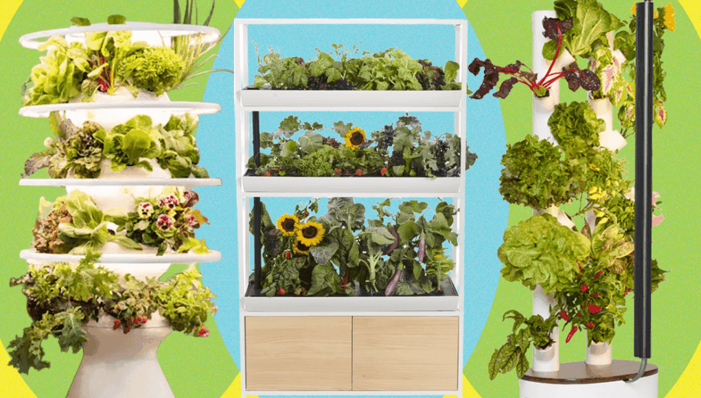We20Tried20520of20the20Most20Popular20Indoor20Gardening20Systems.png