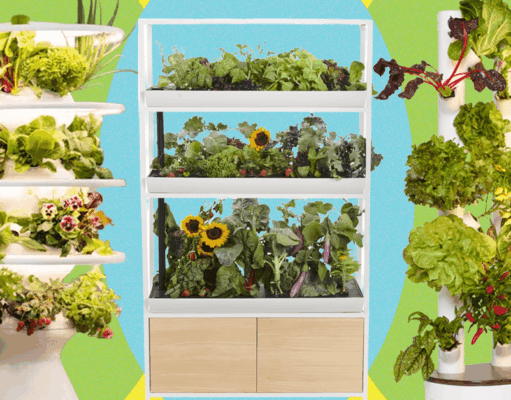 Best Indoor Garden Systems: I’ve Been Testing All Year (2026)