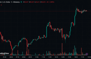 Bitcoin Roars Back Above $65K as Iran War Fails to Break Whale Buying Frenzy