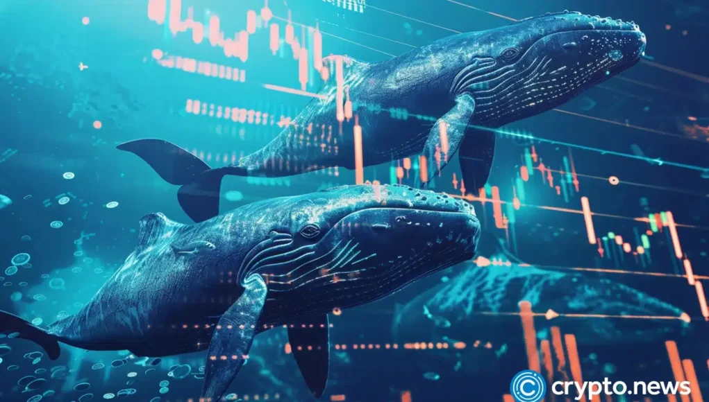 crypto-news-whale-option03.webp