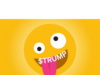 Trump memecoin guy wanted to throw $10K off Empire State Building