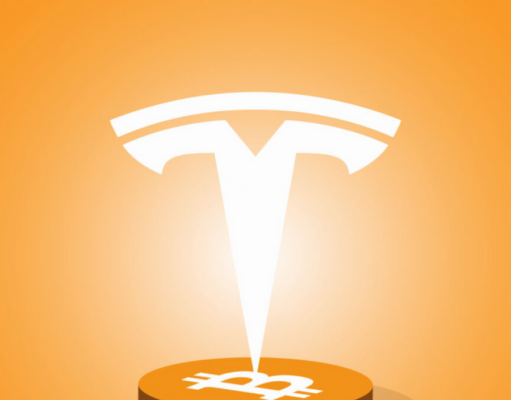 No, Tesla did not buy more bitcoin last quarter