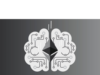 WikiLeaks receives 711 ETH donation that warns of āmind control chipsā