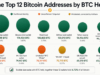 Who Holds 1.35 Million BTC