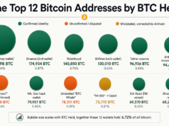 Who Holds 1.35 Million BTC