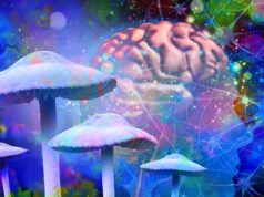 Psilocybin Might Make Your Brain Live in the Moment