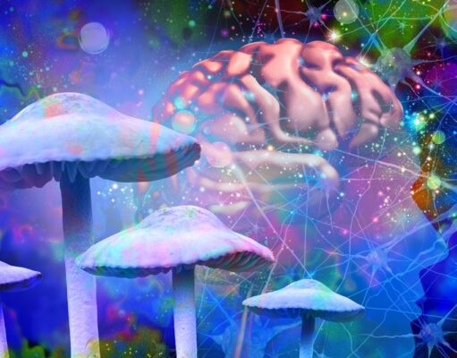 Psilocybin Might Make Your Brain Live in the Moment