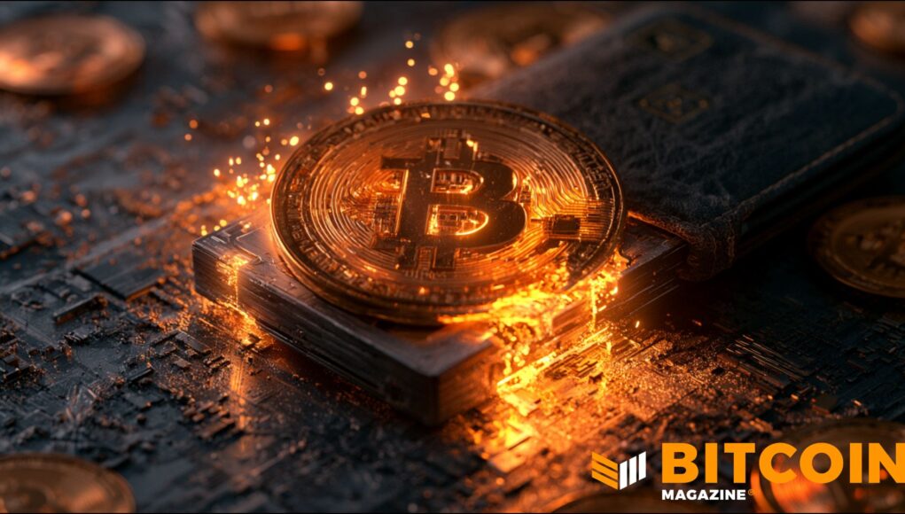 BitBox-Warns-Bitcoiners-After-Discovering-Severe-Vulnerability-In-Firmware.jpg