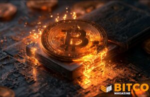 BitBox Warns Bitcoiners After Discovering ‘Severe’ Vulnerability