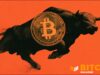 Bitcoin Has Its Best Week Since 2023 As Shortsellers Continue To Get Wiped Out