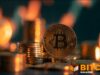 Investors Cash Out Fast Of Bitcoin ETFs But Price Remains Stable