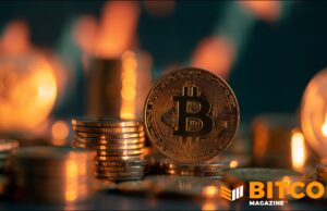 Investors Cash Out Fast Of Bitcoin ETFs But Price Remains Stable