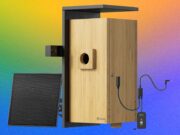 Birdfy Nest Duo Review: My Own Private Nature Documentary