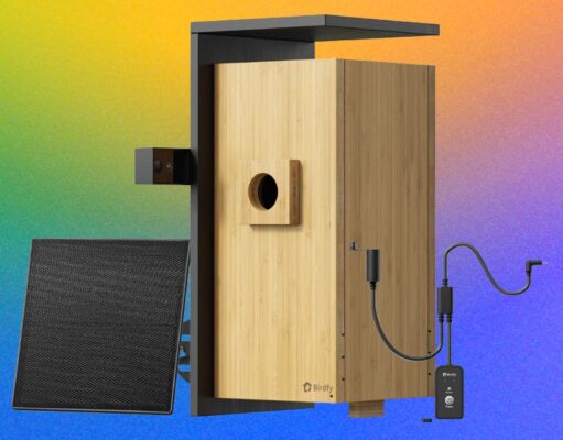 Birdfy Nest Duo Review: My Own Private Nature Documentary