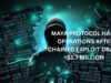 Maya Protocol halts operations after chained Exploit Drains $1.7 Million