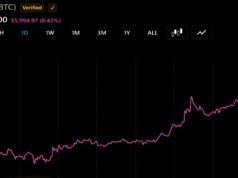 Bitcoin Approaches $80,000 as Vaneck’s Sigel Sees $100,000 Target by 2027