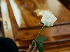 Bitcoin Has Been Declared Dead 21 Times in 2026, Yet It Won’t Stay Buried